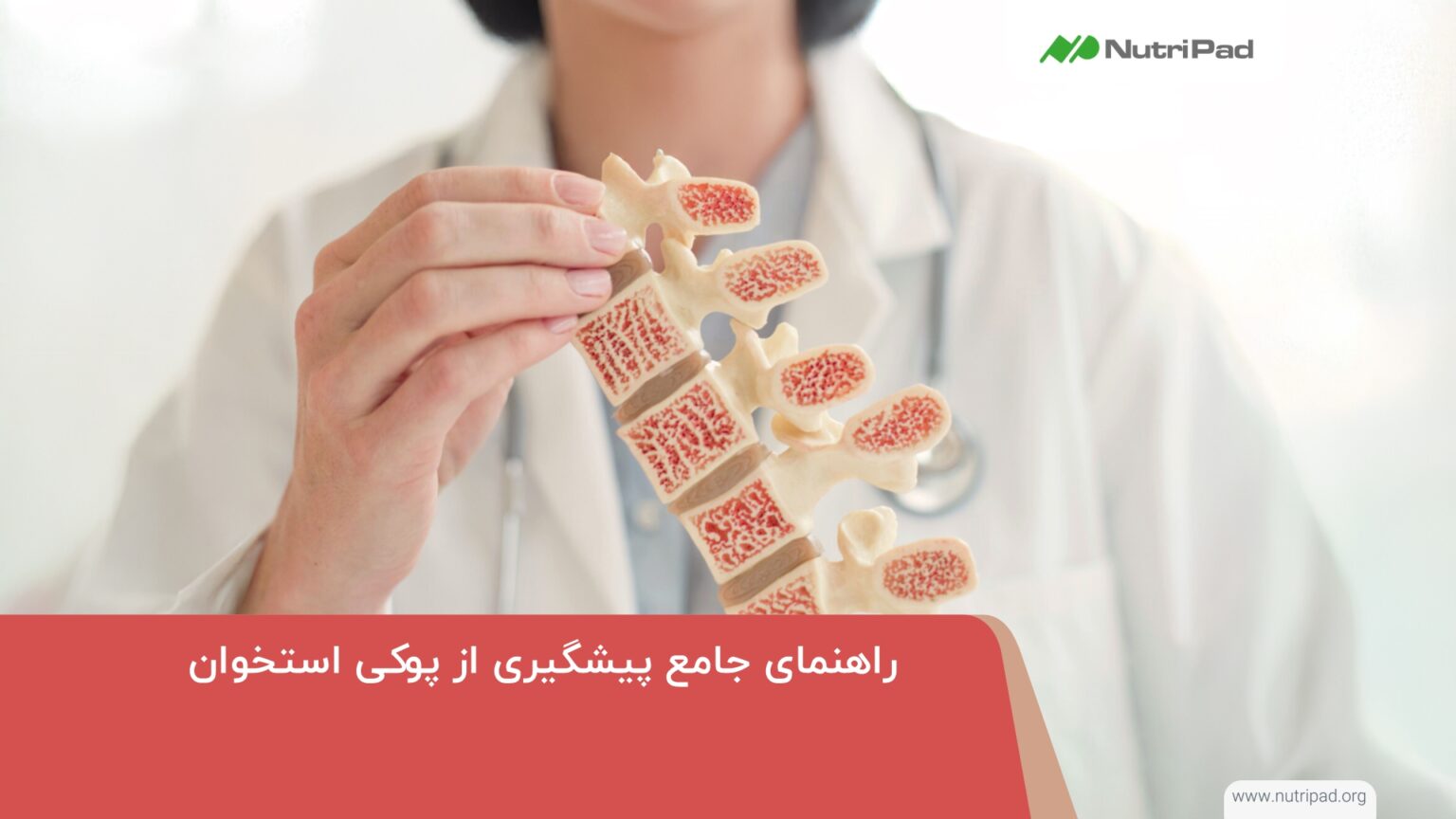 راهنمای جامع پیشگیری از پوکی استخوان - نوتری پاد