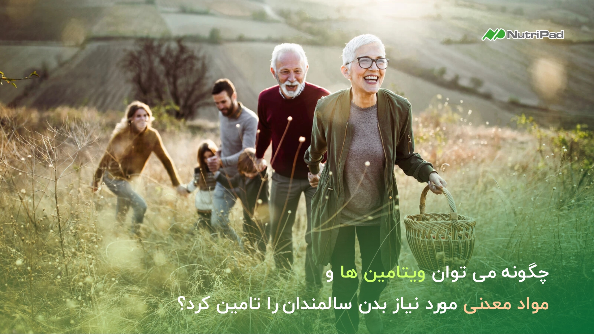 چگونه سالمندان ویتامین و مواد مورد نیاز بدن را تامین کنند؟