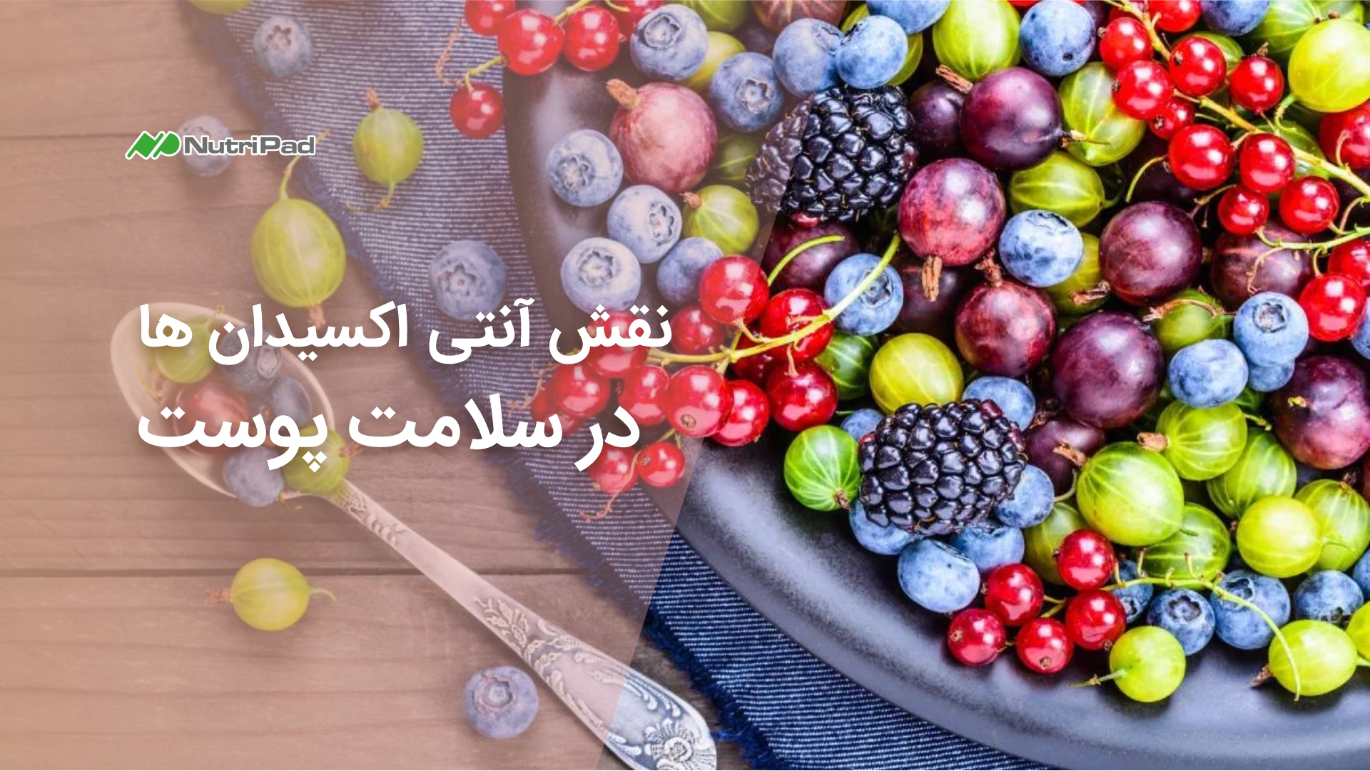 آنتی اکسیدان ها چه نقشی در سلامت پوست دارند؟