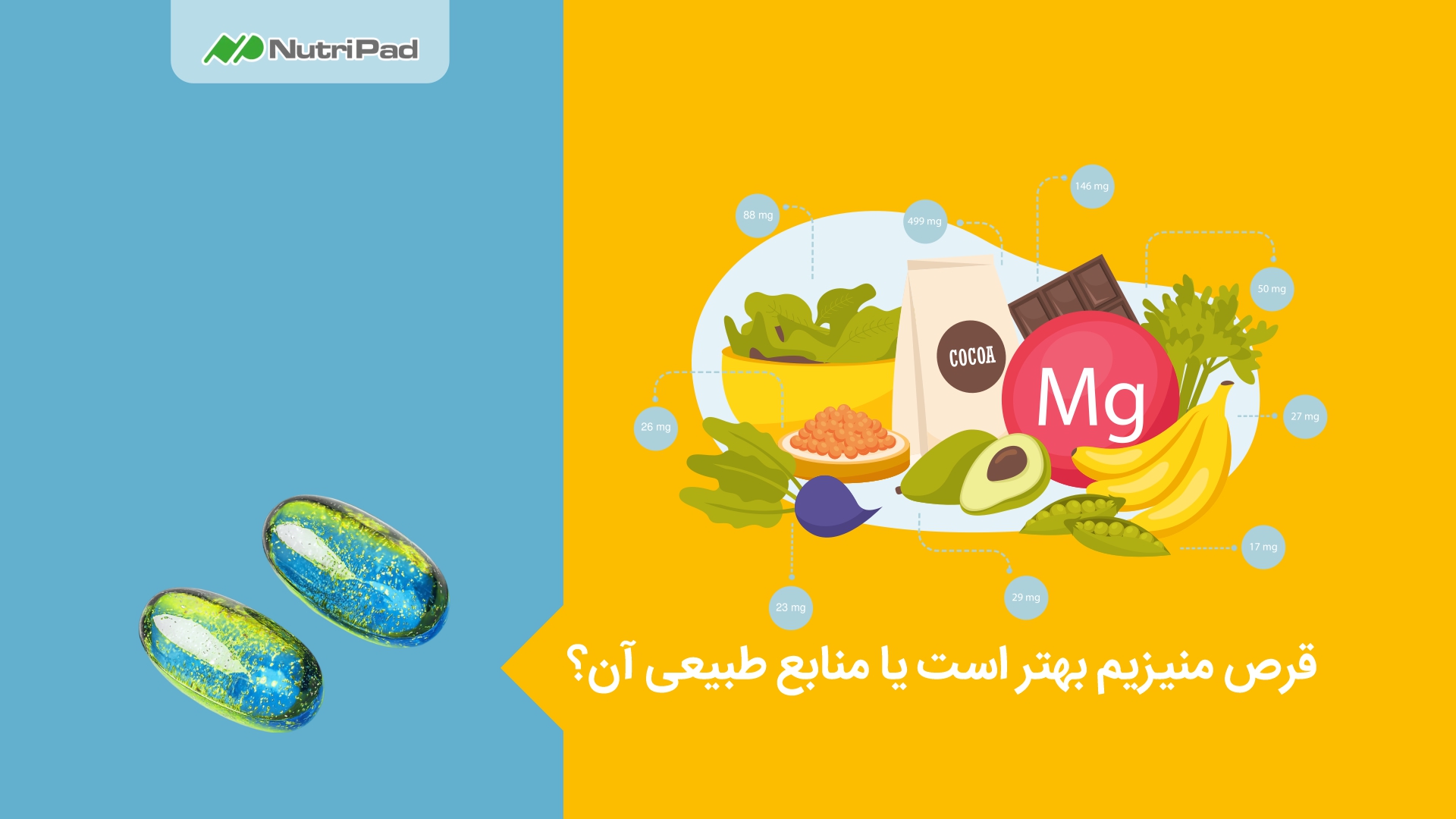 برای تامین منیزیم بدن از مکمل منیزیم مصرف کنیم یا منابع طبیعی آنها را؟