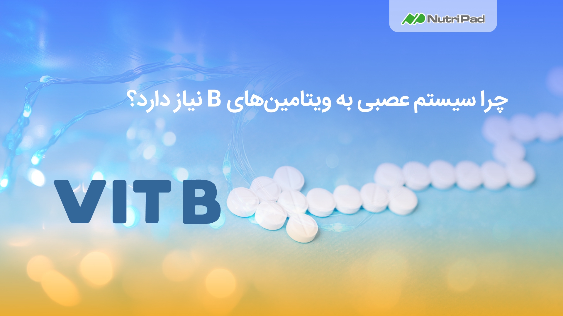 چرا ویتامین های گروه B برای سیستم عصبی ضروری است؟