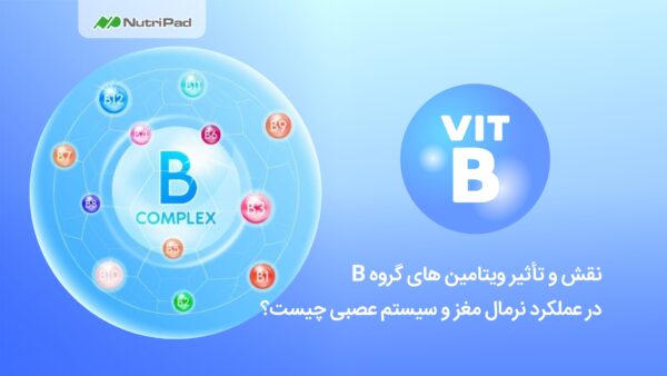 نقش و تأثیر ویتامین‌ های گروه B بر عملکرد نرمال مغز و سیستم عصبی چیست؟ نوتری پاد