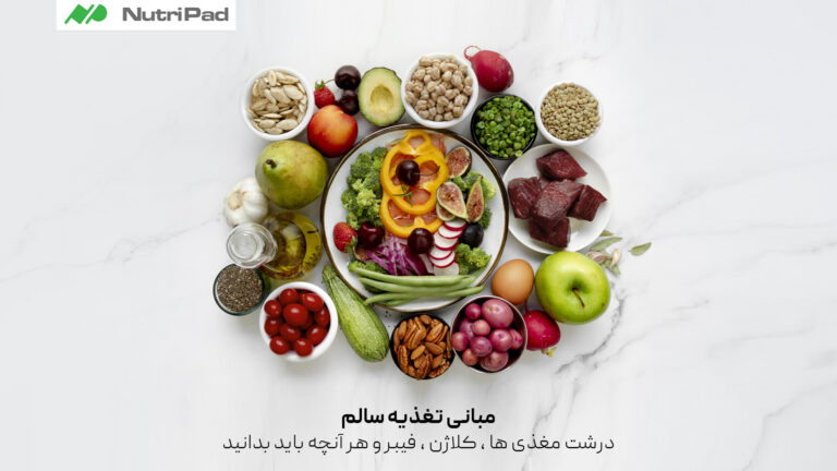 درشت‌ مغذی‌ ها چه هستند و چرا اهمیت دارند؟