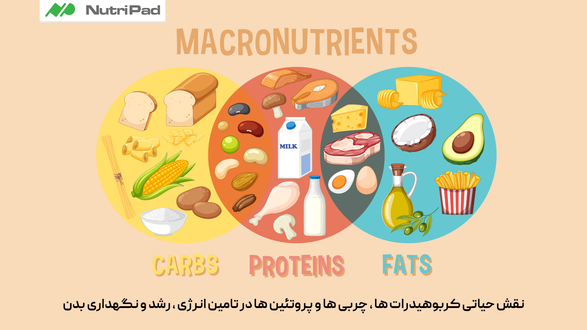 برای داشتن تغذیه سالم باید به چه نکاتی توجه کنیم؟