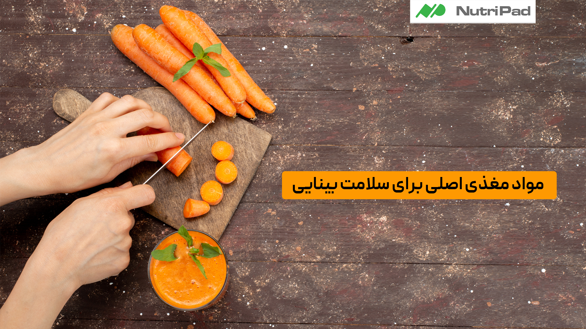 چه مواد مغذی‌ای برای حفظ سلامت چشم و بینایی ضروری هستند؟