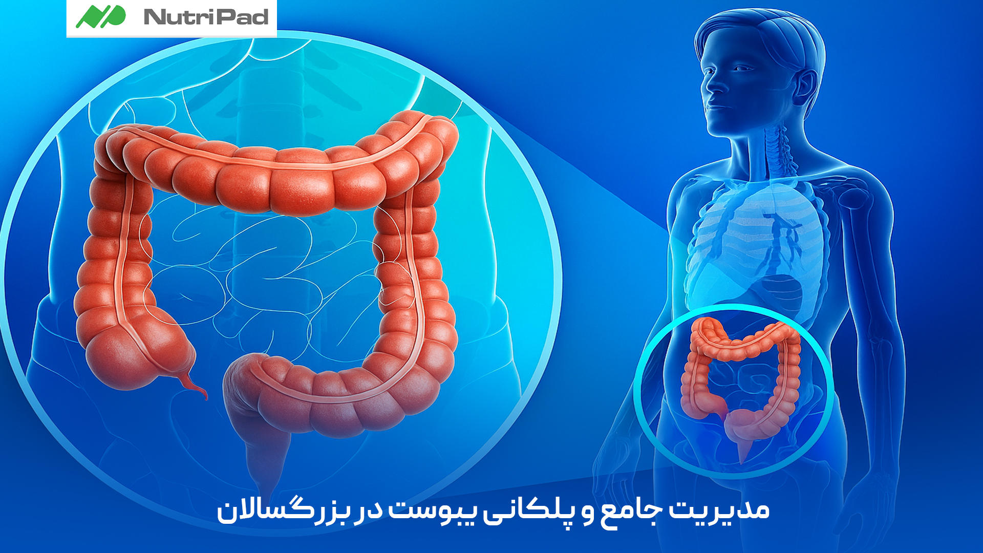 درمان دارویی یبوست با ملین های ساده مانند شربت لاکتولوز، منیزیم هیدروکسید یا فیبرهای خوراکی آغاز میشود. در موارد شدیدتر، پزشک ممکن است داروهای قویتر مانند بیساکودیل، سنا، یا داروهای پیشرفتهتر نظیر لوبیپروستون و لیناکلوتید را برای تحریک حرکات روده تجویز کند. دارو درمانی یبوست چگونه است و چه داروهایی استفاده میشود؟