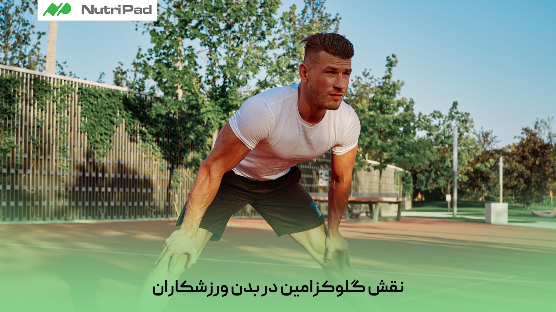 گلوکزامین در بدن ورزشکاران با تحریک ساخت غضروف و کاهش تخریب مفاصل، نقش مهمی در حفظ انعطافپذیری و عملکرد حرکتی دارد. این ماده همچنین به کاهش درد و التهاب ناشی از فشار تمرینات سنگین کمک میکند. گلوکزامین در بدن ورزشکاران چه نقشی ایفا میکند؟