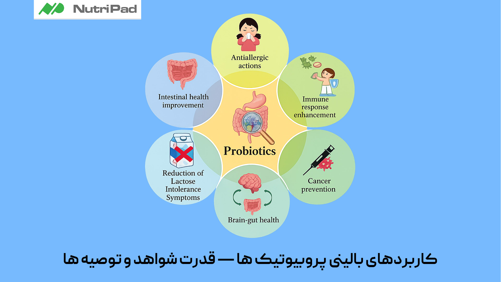 پروبیوتیک ها در برخی کاربردهای بالینی دارای شواهد علمی معتبر هستند. قوی ترین شواهد مربوط به پیشگیری و کاهش اسهال ناشی از آنتی بیوتیک ها، بهبود علائم سندرم روده تحریک پذیر (IBS) و کاهش مدت اسهال عفونی است. در بیماری هایی مانند کولیت اولسراتیو خفیف، یبوست عملکردی و برخی آلرژی ها شواهد متوسطی وجود دارد. با این حال، اثربخشی پروبیوتیک ها وابسته به سویه، دوز و مدت مصرف است و نمیتوان یک محصول را برای همه مشکلات توصیه کرد. در افراد با نقص ایمنی یا بیماریهای زمینهای جدی، مصرف پروبیوتیک باید تحت نظر پزشک انجام شود. پروبیوتیک ها چه کاربردهای بالینی دارند و قدرت شواهد علمی و توصیه ها درباره مصرف آن ها چگونه است؟