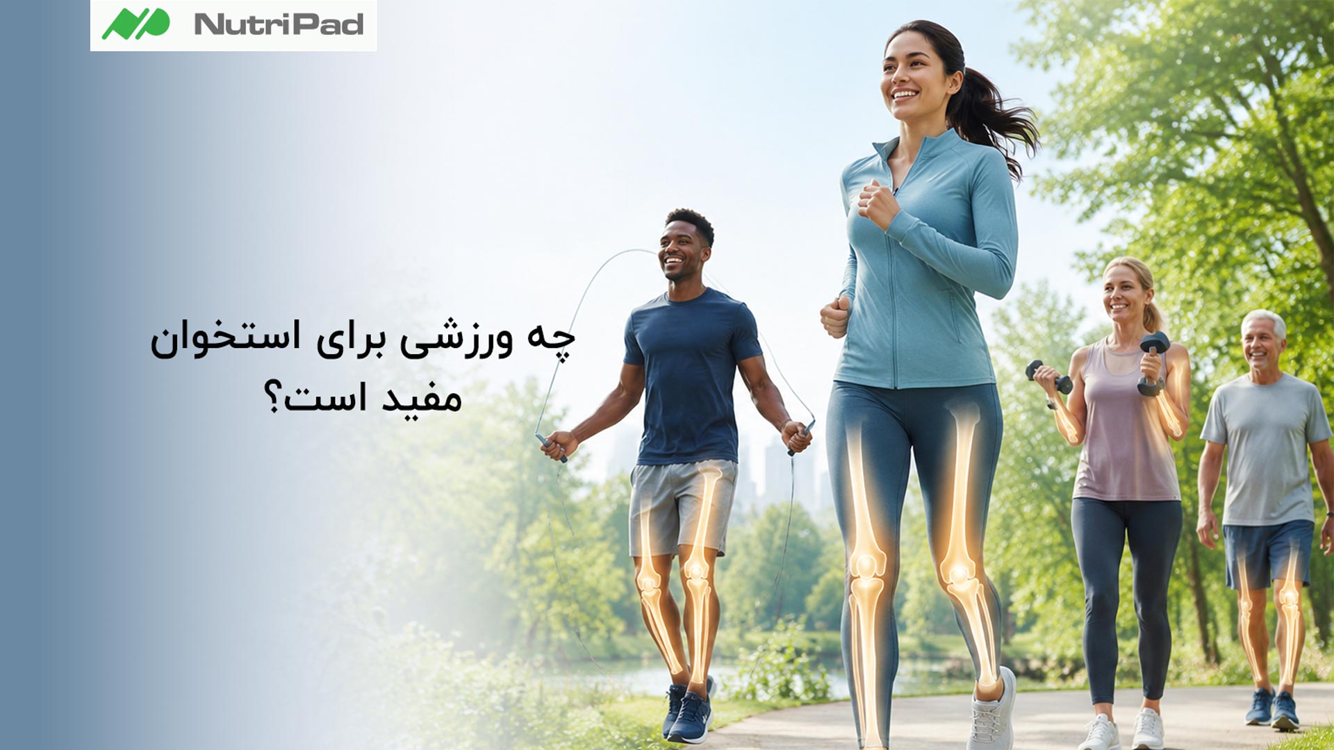 ورزشهای وزندار و تحملکننده وزن برای استخوانها بهترین هستند، چون باعث تحریک استخوانسازی میشوند. فعالیتهایی مثل پیادهروی تند، دویدن، طنابزدن و کوهنوردی به افزایش تراکم استخوان کمک میکنند. همچنین تمرینات قدرتی با وزنه یا کشهای مقاومتی برای تقویت استخوان و عضلات بسیار مفید است. انجام منظم این ورزشها در کنار تغذیه مناسب (کلسیم و ویتامین D) بیشترین اثر را دارد. چه ورزشی برای استخوان مفید است؟