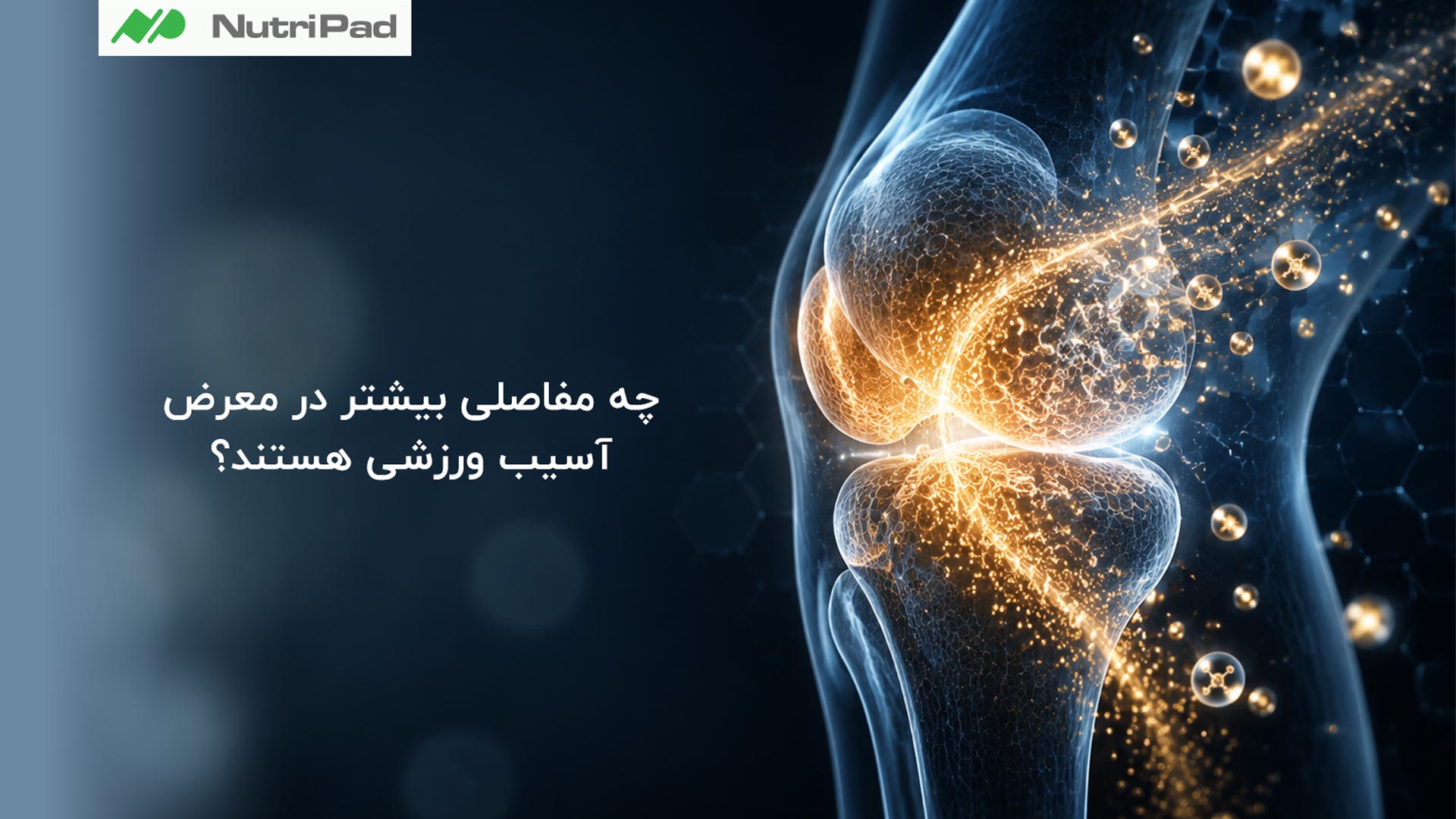 مایع مفصلی در کپسول مفصلی باعث روان کردن سطح غضروف ها و تغذیه غضروف مفصلی میشود و حرکت صحیح و کنترل شده باعث میشود مایع مفصلی بهتر در سطح غضروف پخش شود. نقش مایع مفصلی چیست؟