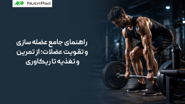 راهنمای جامع عضله سازی و تقویت عضلات چیست و برای افزایش حجم و قدرت، از تمرین و تغذیه تا ریکاوری، چه کارهایی باید انجام داد؟