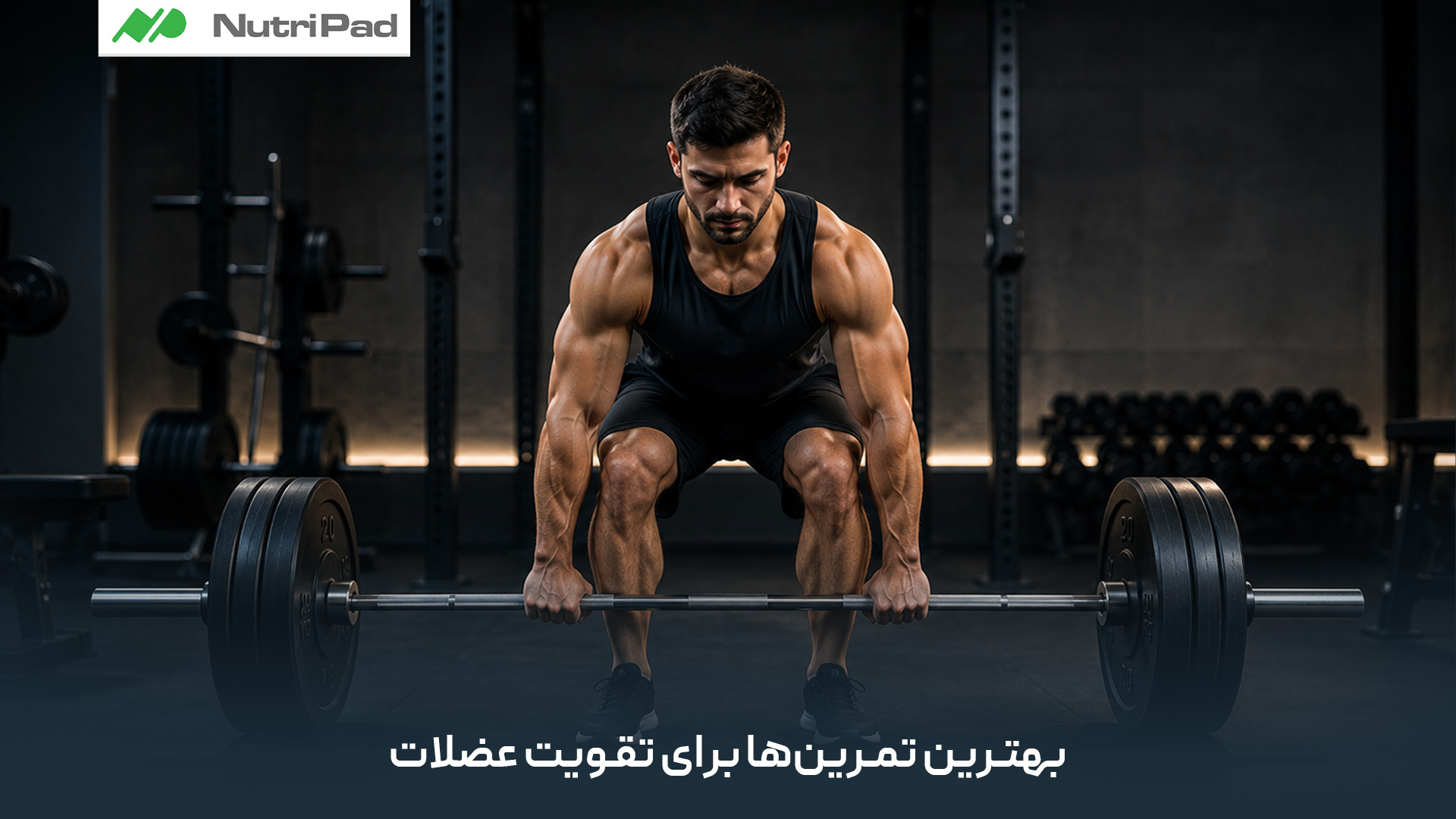 تمرینات مقاومتی و چندمفصلی مانند اسکوات، ددلیفت، پرس سینه، بارفیکس و پرس سرشانه به دلیل درگیر کردن همزمان چند گروه عضلانی، بهترین گزینهها هستند. این تمرینات باید با فرم صحیح حرکتی و بر اساس اصل اضافهبار تدریجی (افزایش تدریجی وزن یا تکرارها) انجام شوند تا عضله وادار به رشد شود. بهترین تمرین ها برای تقویت عضلات کدامند؟