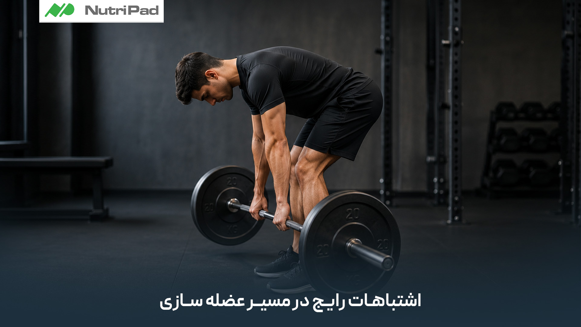 تمرین بدون برنامه و نامنظم، دریافت ناکافی پروتئین و ترسِ بیمورد از مصرف کربوهیدراتها از مهمترین اشتباهات تغذیهای و تمرینی هستند. همچنین، بیتوجهی به خواب و ریکاوری کافی، تمرکز افراطی روی برخی عضلات خاص و داشتن عجله برای رسیدن به نتیجه، مانع رشد بهینه عضلات میشوند. اشتباهات رایج در مسیر عضله سازی چیست؟