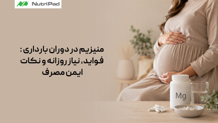 منیزیم در دوران بارداری: فواید، نیاز روزانه و نکات ایمن مصرف