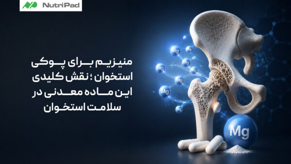منیزیم برای پوکی استخوان؛ نقش کلیدی این ماده معدنی در سلامت استخوان