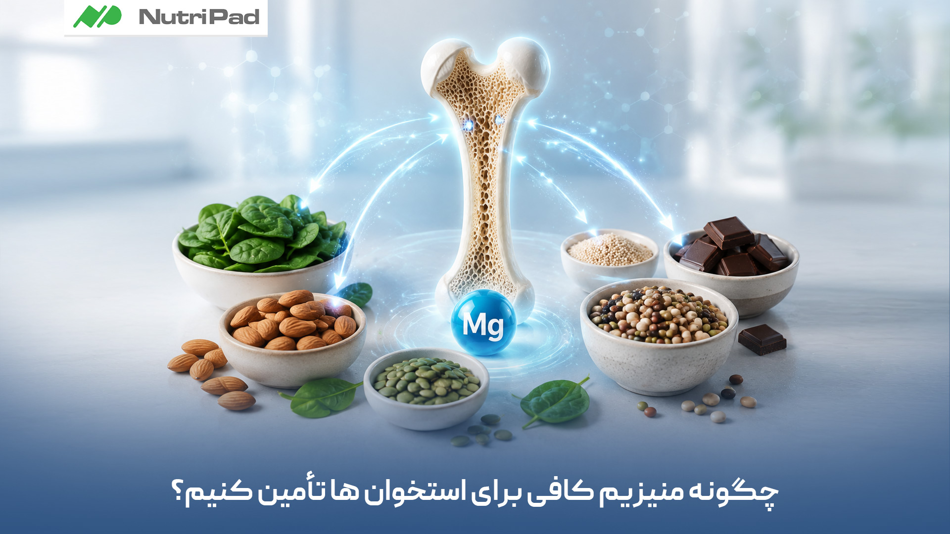 معرفی منابع غذایی و راهکارهای مؤثر برای تأمین منیزیم مورد نیاز بدن و حمایت از سلامت استخوان ها. چگونه منیزیم کافی برای استخوانها تأمین کنیم؟